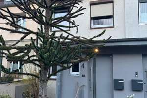 Charmantes Reihenmittelhaus mit Garten und Terrasse in Hannover-List