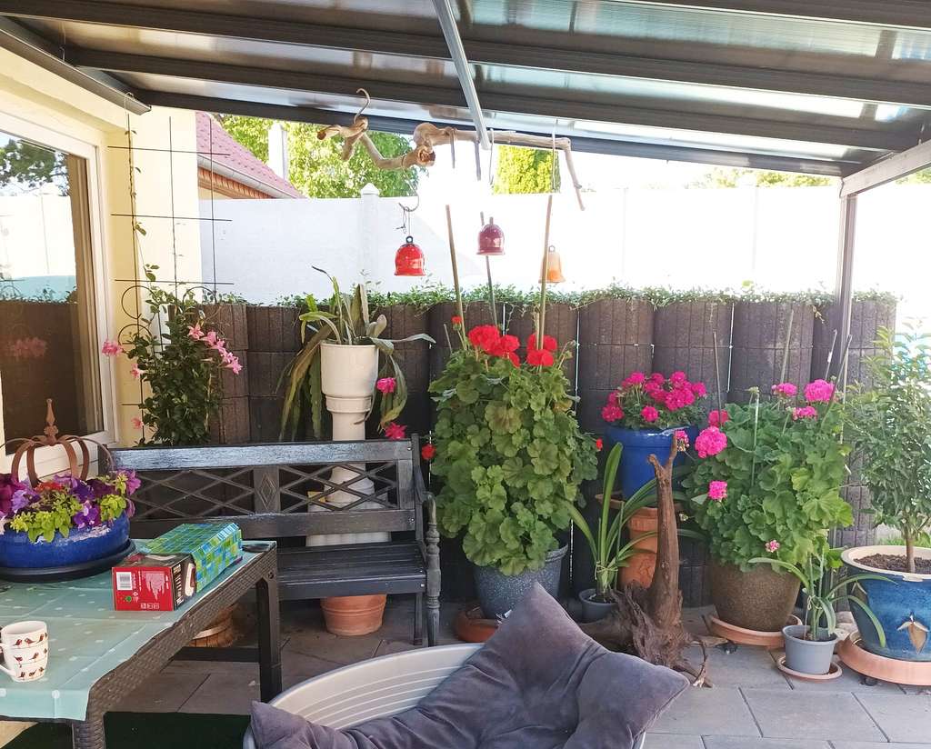 Immobilie in Obere Warnow - Idyllisches Nest im Grünen - Bild 3