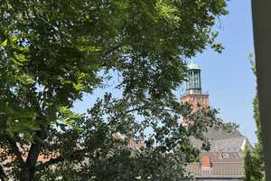 Wohnen wie im Baumhaus mit Blick auf die Stadtkirche  – Darmstadt – Vorschaubild 1