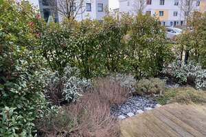 Exklusive, neuwertige 2-Zimmer-Erdgeschosswohnung mit Terrasse/Garten und EBK in Darmstadt – Elisabeth-Hattemer-Straße 4, 64289 Kranichstein, Darmstadt – Vorschaubild 33