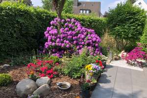 Property thumbnail 10