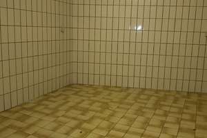 Ein Juwel zur Selbstverwirklichung gesucht? – Die vollständige Adresse der Immobilie erhältst du vom Anbieter., 35789 Weilmünster – Vorschaubild 112