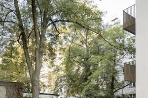 Property thumbnail 7