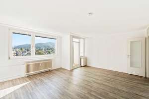 Bezugsfreie renovierte Einzimmerwohnung – 79108 Zähringen, Freiburg im Breisgau – Vorschaubild 4