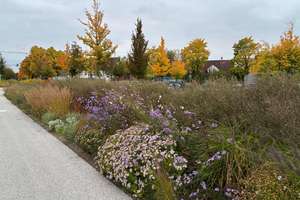 Property thumbnail 38