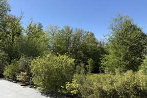 Einzigartiges Naturidyll mit hohen Wohnkomfort am Michelsberg – Die vollständige Adresse der Immobilie erhältst du vom Anbieter., 91217 Hersbruck – Vorschaubild 29