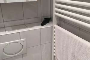 Stilvolle, sanierte 2-Zimmer-Erdgeschosswohnung mit Balkon in Wiesbaden – Hartingstraße 10, 65193 Nordost, Wiesbaden – Vorschaubild 7