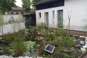Offen für Angebote: Haus in Dieburg – Darmstadt-Dieburg (Kreis) – Vorschaubild 26