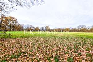 Landlust *** renoviertes Fehnhaus  mit Tenne *** 
neue Heizung, neue Küche, neues Bad – Die vollständige Adresse der Immobilie erhältst du vom Anbieter., 26810 Westoverledingen – Vorschaubild 38