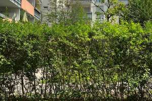 Property thumbnail 23