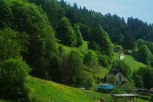 125 qm Wfl., bis zu 4 Schlaf / Gästezimmer für Ihre Familie, naturnah, ruhig  & KFW 40 Förderung ! – Kanderstraße 8, 79429 Malsburg-Marzell – Vorschaubild 3