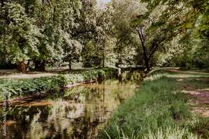 Bezugsfrei: Helle 2-Zi-Wohnung nahe Bürgerpark Pankow, keine Käuferprovsion, Ausrichtung Süd-West – Die vollständige Adresse der Immobilie erhältst du vom Anbieter., 13187 Pankow (Ortsteil), Berlin – Vorschaubild 19