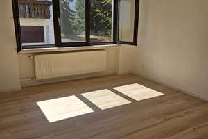 Einfamilienhaus in Baden-Baden-Steinbach, ausbaufähig, großer Garten, 2 Tageslichtbäder, Garage – Die vollständige Adresse der Immobilie erhältst du vom Anbieter., 76534 Steinbach, Baden-Baden – Vorschaubild 15