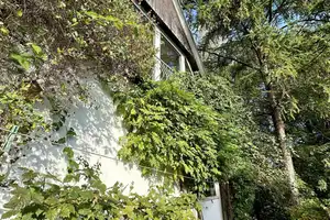 Naturnah leben in Rosdorf: Einfamilienhaus mit viel Platz und ländlichem Charme – Steinburg (Kreis) – Vorschaubild 3