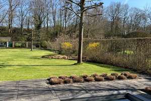 Villa in bester Lage von St. Mauritz – Die vollständige Adresse der Immobilie erhältst du vom Anbieter., 48155 Mauritz-Ost, Münster – Vorschaubild 6