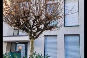 2-Zimmer-Wohnung in Köln Rath-Heumar