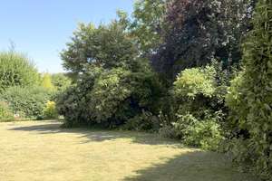 Brasselsberg / Bestlage... Sehr gepflegtes,  großzügiges Einfamilienhaus mit herrlichem Fernblick – Die vollständige Adresse der Immobilie erhältst du vom Anbieter., 34132 Brasselsberg, Kassel – Vorschaubild 30