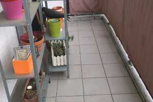Gut geschnittene 3 Zimmer-Wohnung mit Balkon und EBK in F- Ginnheim – 60431 Ginnheim, Frankfurt am Main – Vorschaubild 3