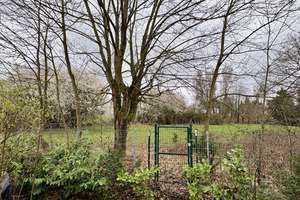 Großzügiges Einfamilienhaus in Feldrandlage – Die vollständige Adresse der Immobilie erhältst du vom Anbieter., 63517 Rodenbach – Vorschaubild 10
