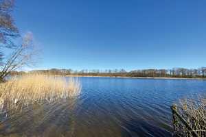 Ein neues Zuhause am Wardersee! – Segeberg (Kreis) – Vorschaubild 7
