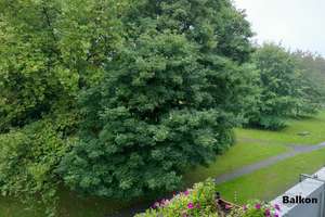 3,5 Zimmer-Wohnung in Top-Lage Dortmund-Hombruch – 44225 Hombruch (Ortsteil), Dortmund – Vorschaubild 18