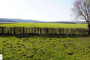 Ihre Freizeit-Oase – doppeltes Wohnvergnügen am Feldrand, Raum für Ihre Ideen! – 38228 Osterlinde, Salzgitter – Vorschaubild 28