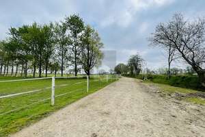RESTHOF AM REITERHOF – Die vollständige Adresse der Immobilie erhältst du vom Anbieter., 25873 Oldersbek – Vorschaubild 1
