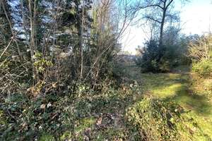 Investoren, aufgepasst – einmalige Gelegenheit! – Die vollständige Adresse der Immobilie erhältst du vom Anbieter., 51069 Dellbrück, Köln – Vorschaubild 33