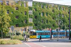 Property thumbnail 16