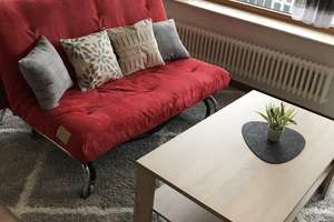 1-Z. Apartment, möbliert, eigenes Badezimmer, Balkon, Terrasse / Küche u. Garten zur Mitnutzung – 63075 Bürgel, Offenbach am Main – Vorschaubild 6