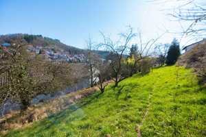 Villengrundstück UND geräumiges Zweifamilienhaus in sehr guter, oberer Hanglage  – Rhein-Neckar-Kreis – Vorschaubild 3