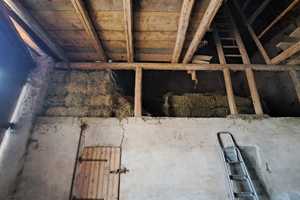 Renoviertes Bauernhaus mit Scheune und großem Grundstück in Lebach - Niedersaubach – Saarlouis (Kreis) – Vorschaubild 16