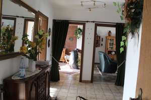 2-3Zimmer Wohnung in Essen - Borbeck  zu vermieten – Donnerstr 3, 45355 Borbeck-Mitte, Essen – Vorschaubild 6