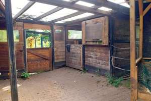 Einfamilienhaus mit Stallungen in Laubach-Münster – Die vollständige Adresse der Immobilie erhältst du vom Anbieter., 35321 Laubach – Vorschaubild 11