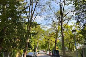 Property thumbnail 19