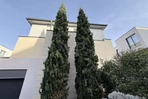 Barrierefreies Penthouse mit Südbalkon und Stellplatz – Die vollständige Adresse der Immobilie erhältst du vom Anbieter., 68165 Schwetzingerstadt/Oststadt, Mannheim – Vorschaubild 1