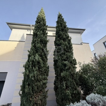 Barrierefreies Penthouse mit Südbalkon und Stellplatz