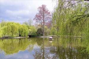 Property thumbnail 19