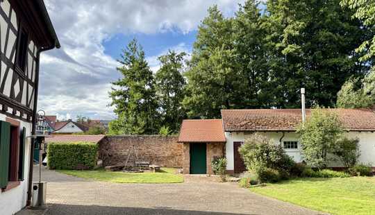 Bild von Saniertes Mühlenanwesen in der Vorderpfalz mit 3 WE, historischer Dreiseithof mit Gärten und Bäumen