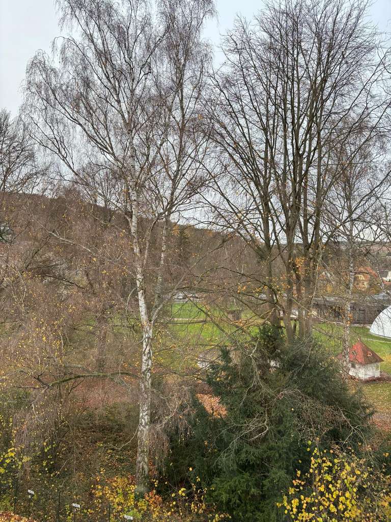 Immobilie in Bad Salzschlirf - Attraktive und vollständig renovierte 1,5-Raum-Wohnung in Bad Salzschlirf - Bild 4