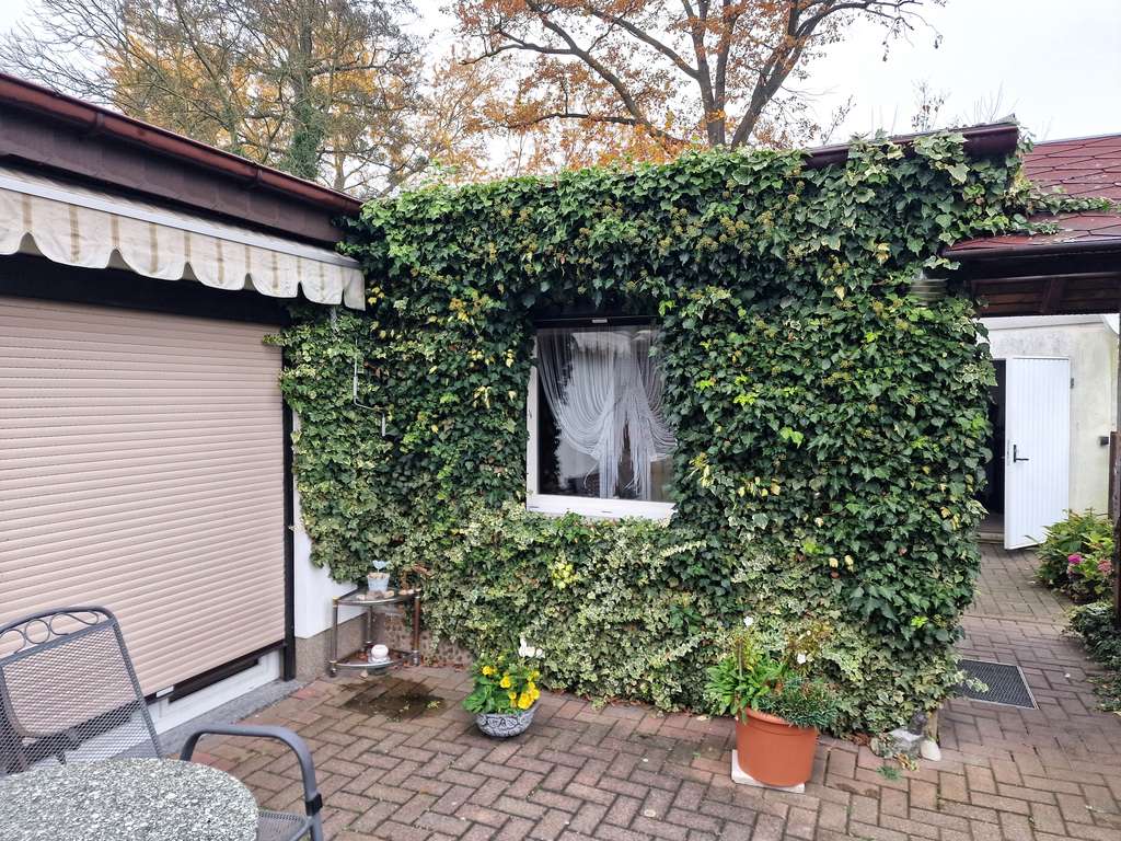 Immobilie in Belgern-Schildau - Massiver Bungalow in Sitzenroda -  Wohnen am Rande der Dahlener Heide - Bild 4