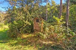 3,5 ha Land mit Jagdhütte -  in der Nähe der beiden Saaletalsperren (A1619)
 – Die vollständige Adresse der Immobilie erhältst du vom Anbieter., 7368 Remptendorf – Vorschaubild 10