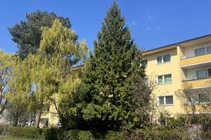 ERSTBEZUG NACH SANIERUNG - HELL - RUHIG - GRÜNLAGE – Belfaster Straße 13, 13349 Wedding, Berlin – Vorschaubild 10