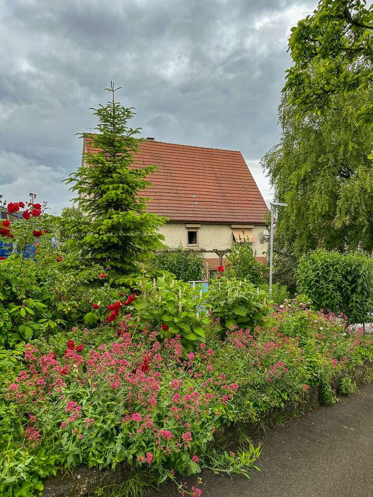 Immobilie in Unterensingen - //Sanierungsobjekt //Halbhöhenlage Unterensingen //Denkmalschutz (230 m²) und Neubau (200 m²) - Bild 2
