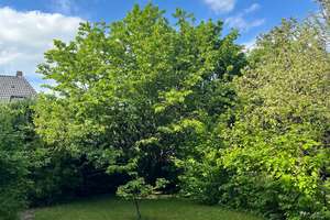 Wohnen in idyllischer Lage – Die vollständige Adresse der Immobilie erhältst du vom Anbieter., 30938 Burgwedel – Vorschaubild 18