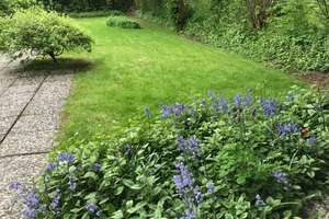 Viel Platz für Ihre Wohnträume - Haus mit großem Garten – Nordertoft 5, 24894 Tolk – Vorschaubild 15