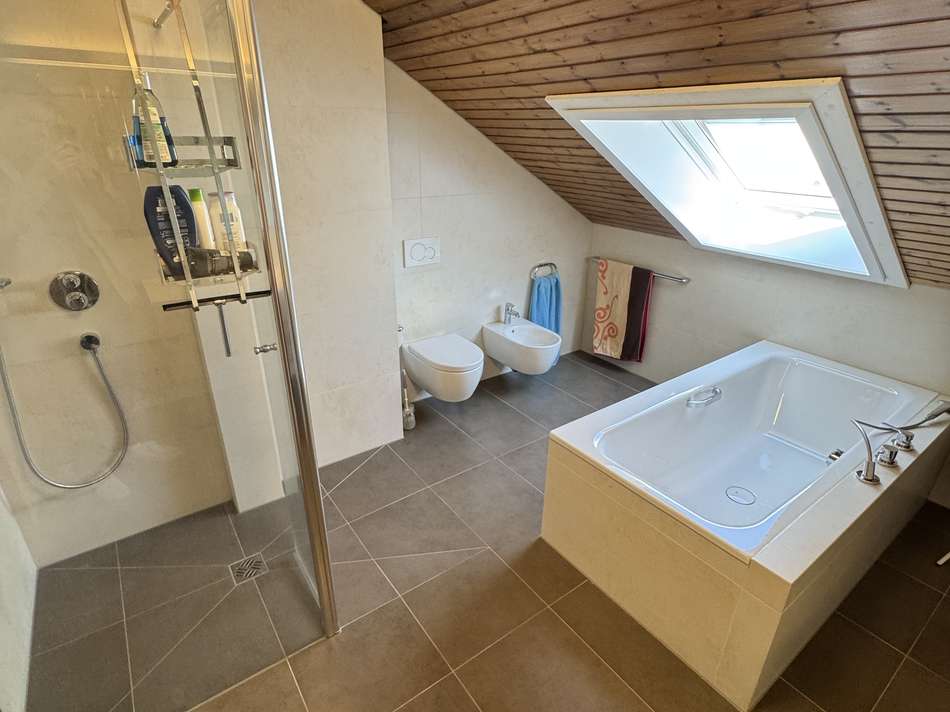 Badewanne, Dusche