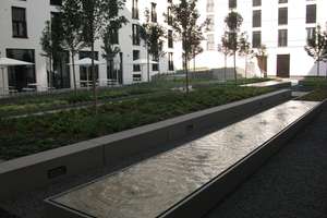 Campus Viva - Vermietetes Studenten Appartement m. Stellplatz am Olympiapark München von Privat – Am Oberwiesenfeld 9, 80809 Am Riesenfeld, München – Vorschaubild 8