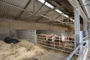 Bauernhof mit Stallungen, Scheunen und über 9.000 m² Grundstück in Heinsberg-Hülhoven – Die vollständige Adresse der Immobilie erhältst du vom Anbieter., 52525 Heinsberg – Vorschaubild 39