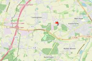 Ihr Traum vom Pferdeparadies - abgängiges Einfamilienhaus und Stallungen auf ca. 4.300m² Grundstück – Lippe (Kreis) – Vorschaubild 43